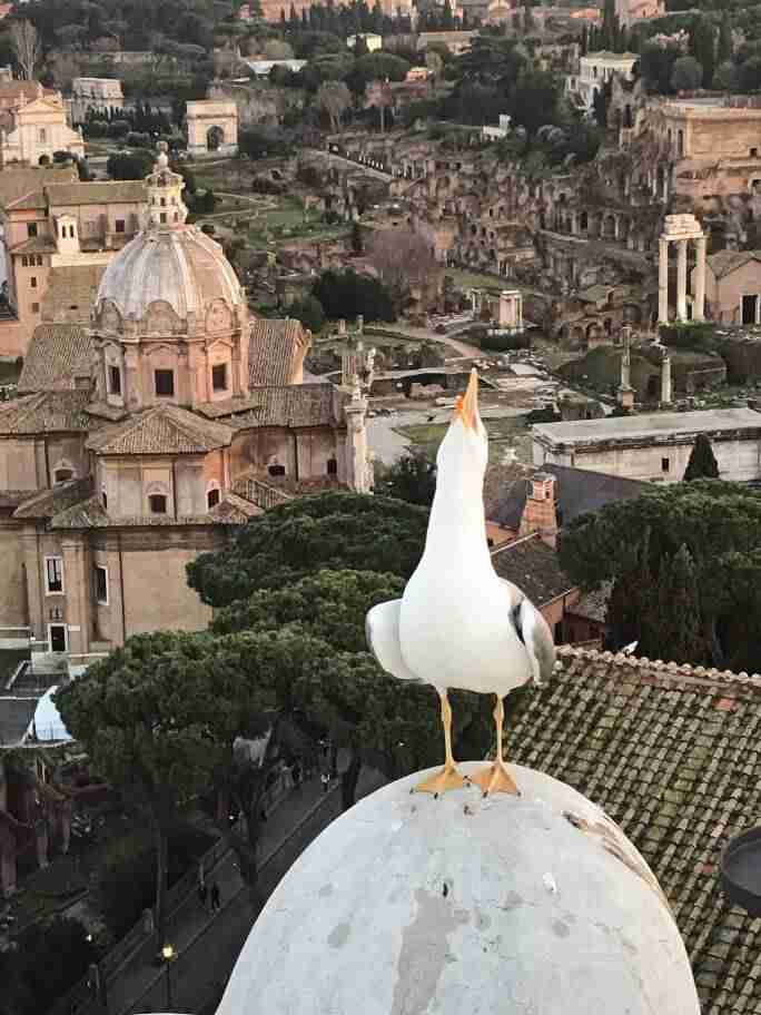 רומא, על גג אנדרטת ויטוריו עמנואל - חופשה ברומא