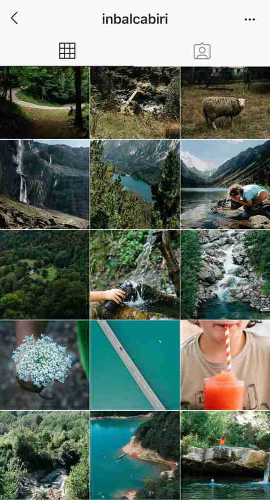 בלוגולדת בלוגלית