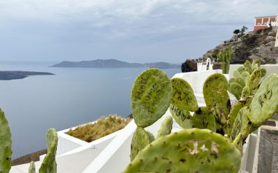 לשוט כל הדרך לחלום היווני – שייט הפלגה ביוון עם חברת סלסטיאל קרוז