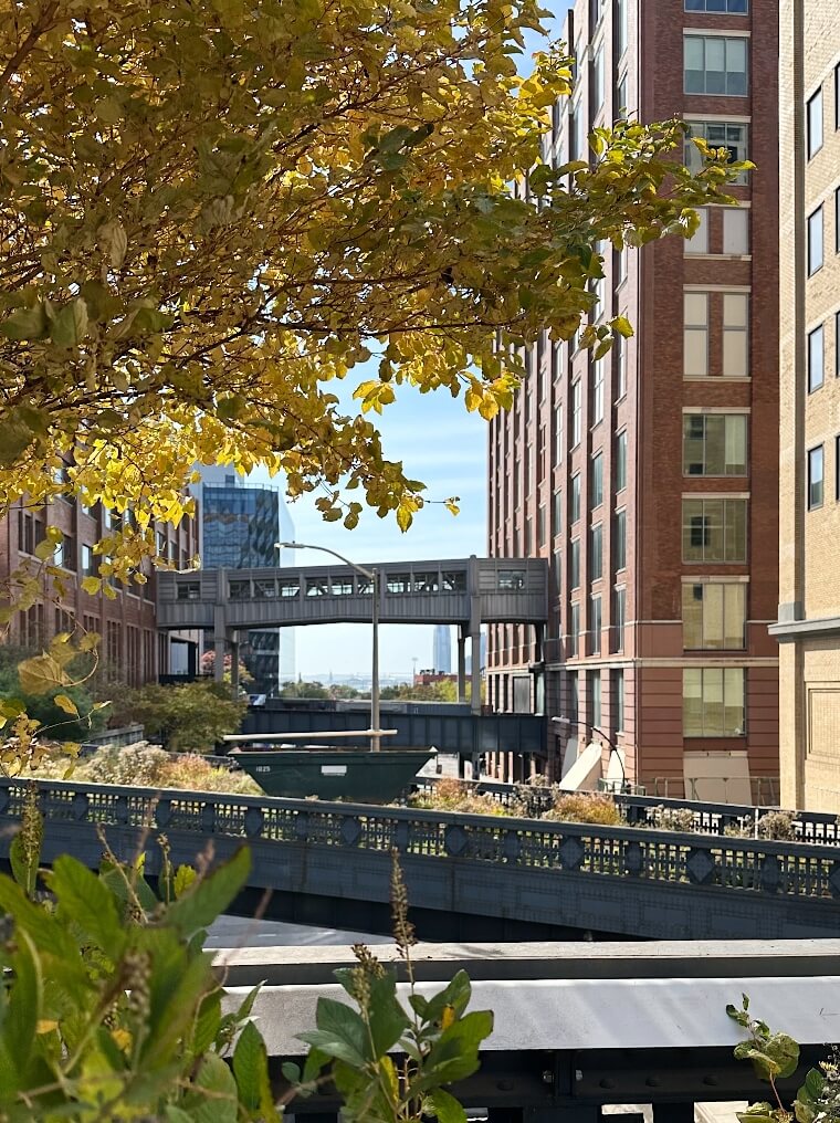 ההיי ליין (High Line) - תרבות ואמנות במרחב העירוני בניו יורק