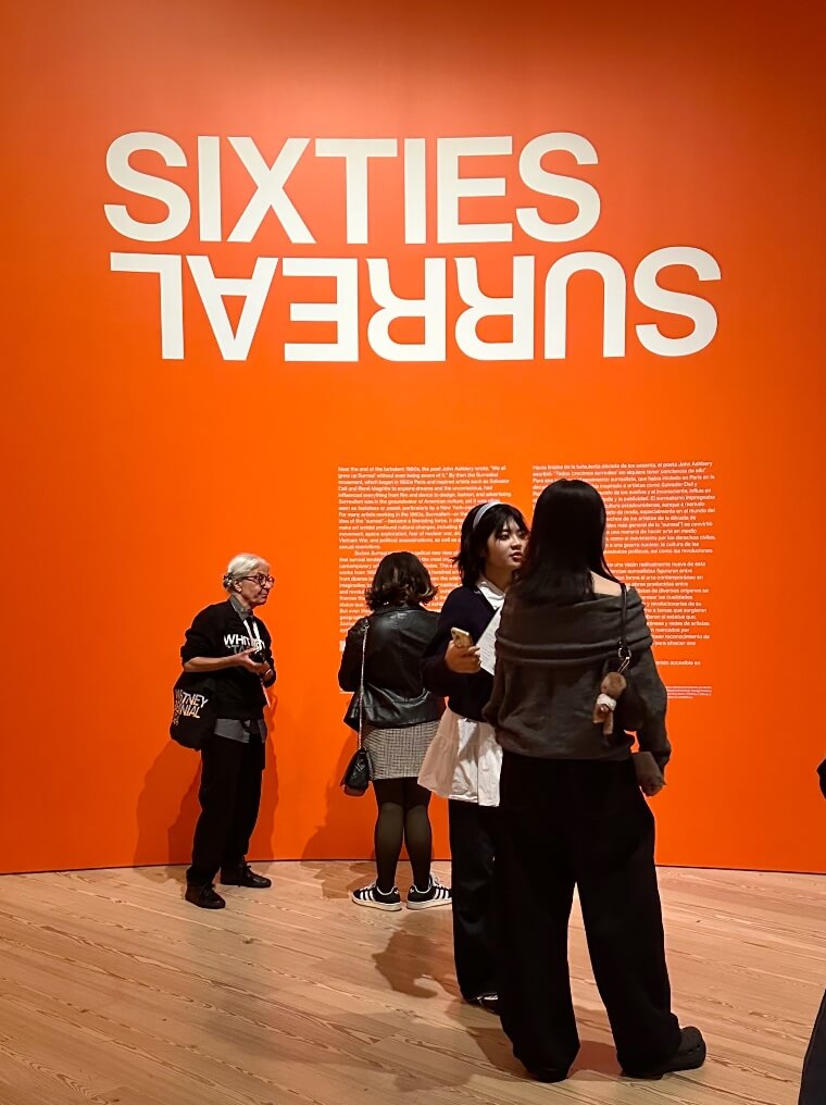 מוזיאון וויטני (Whitney Museum)