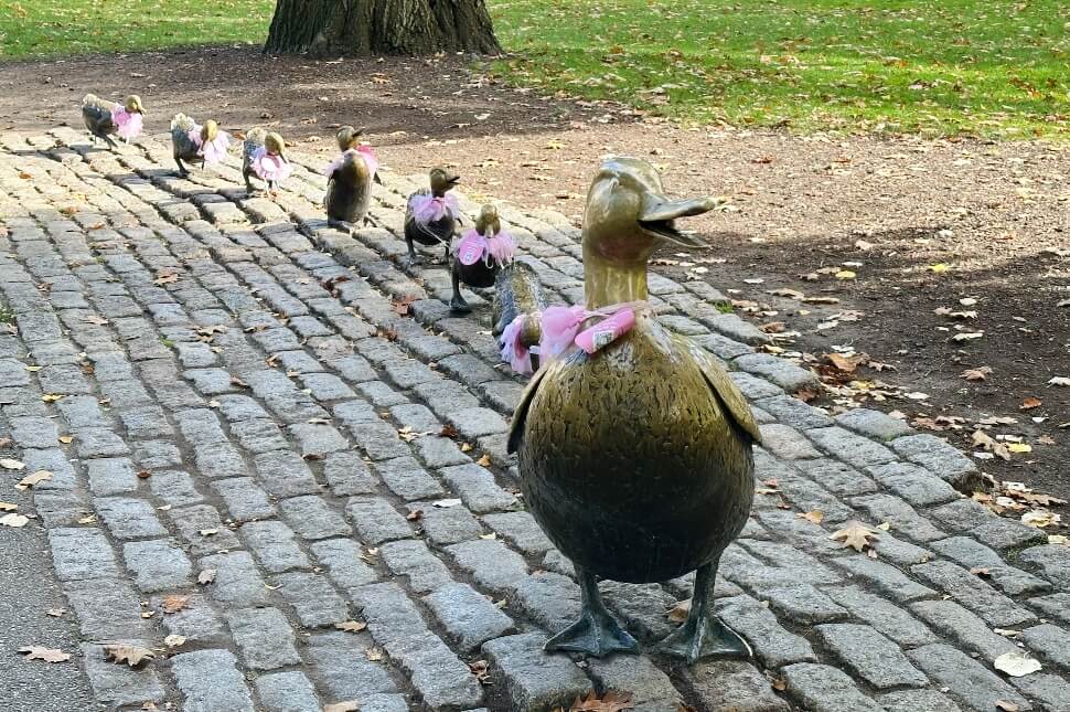 Make way for ducklings - פארק public garden בבוסטון