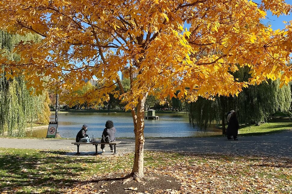 בוסטון - מדריך המלצות