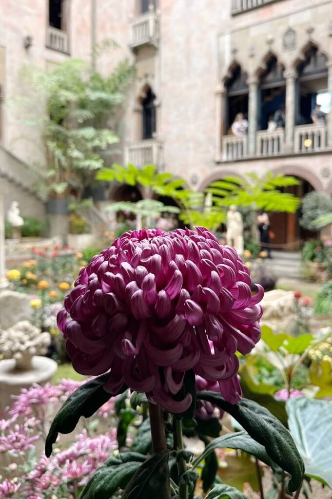 מוזיאון איזבלה סטיוארט גרדנר (Isabella Stewart Gardner Museum)