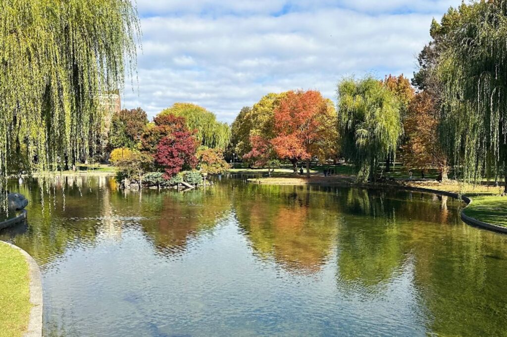   public garden בבוסטון